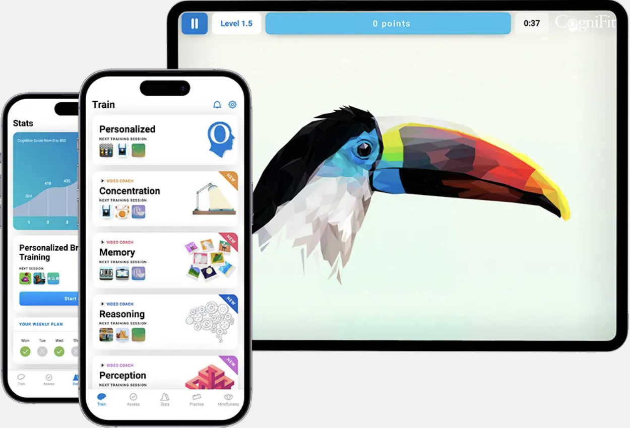 Brain Training App Interface